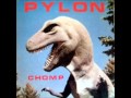 pylon - crazy - chomp (DB, 1983)