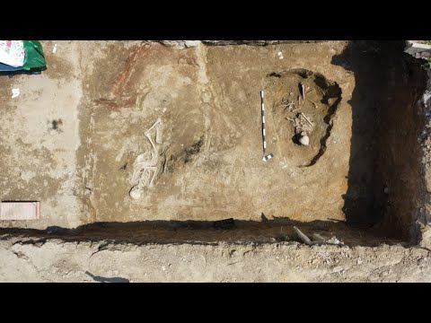 Oseminte din perioada medievală descoperite pe șantierul Școlii Gimnaziale Ighișu Nou | novatv.ro