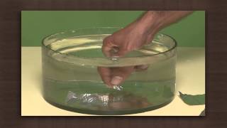 Buoyancy lab: fun with aluminium foil | Force | Physics