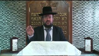 פרשת ויקרא – כל רצוננו להשם יתברך