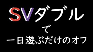 【ポケモンSV】SVダブルを丸一日遊ぶだけのオフ【WCS2023】