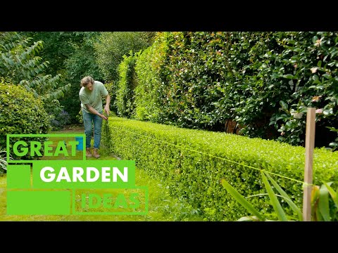 How to trim a hedge | GARDEN | Great Home Ideas