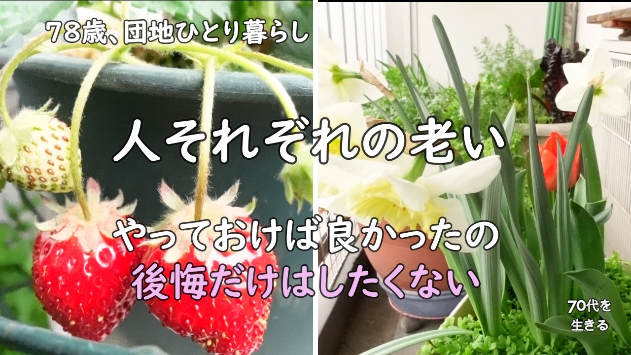 【70代を生きるNo.269】老いを生きる／老後に後悔しないために／今日の作り置き／ベランダ菜園、春野菜の種蒔き
