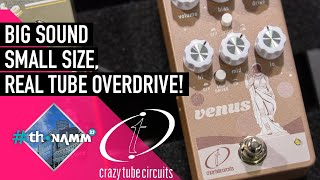 Video thumbnail for NEW Crazy Tube Circuits Venus Tube Overdrive | #ThoNAMM25 by Thomann's Guitars & Basses
