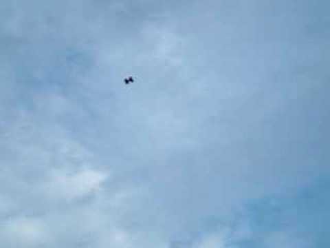 diabolo rohrwiller joffrey 1