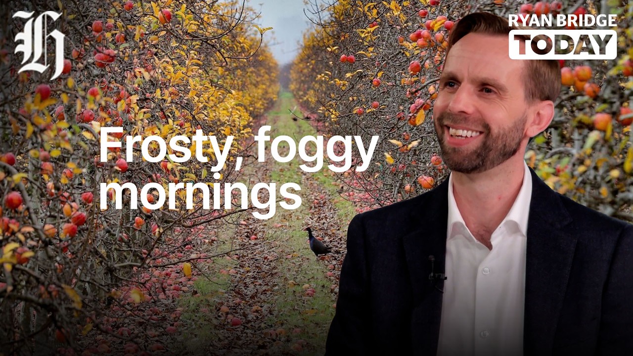 Frosty, foggy mornings to come as autumn officially starts| Ryan Bridge TODAY