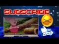 The New Adventures Of Winnie The Pooh Episode43P2 A Bird In Th The New Adventures Of Winnie The Pooh