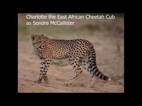 Home Alone (QuiggC1 Mammal Style) Part 24: End Titles/You Are Not Alone