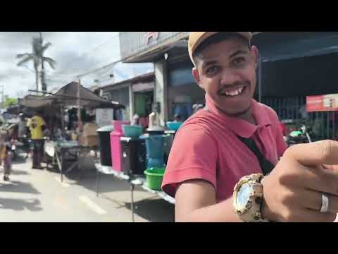 [ ATUALIZAÇÃO DO CANAL ][ FEIRA LIVRE DE FLEXEIRAS-AL ][ CULTURA POPULAR REGIONAL]