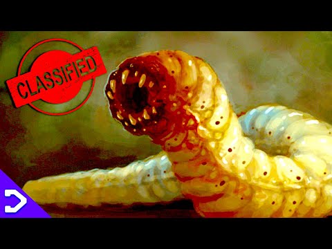 ALL The HORRIFYING Beasts Of Skull Island! - King Kong LORE (2005)