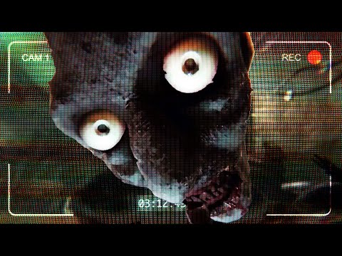 I'm on Observation Duty: LIVE