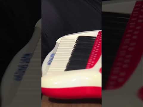 Симон Трпчески свири на клавир- играчка 😁