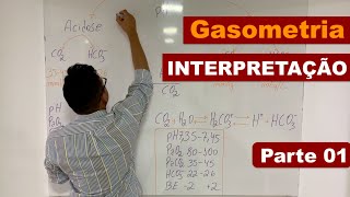 Gasometria Arterial - Básica