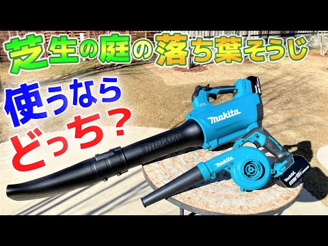 長所 短所 掃除機 リーフブロワー 購入ツール 2つの機能 最適なソリューション