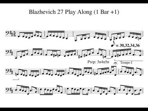 Blazhevich 27 MM22 1 Tempo 30 32 34 36