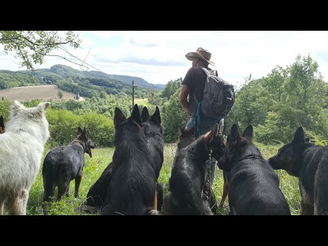 Echt - DDR Blut und Liebling des Westens