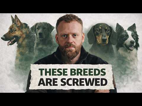 We ruined these dog breeds