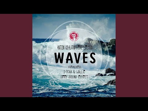 Waves (D-Trax & Wallie Remix)