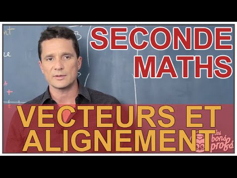 Vecteurs et alignement