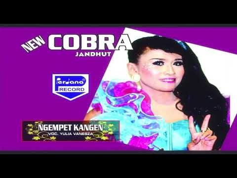 Ngempet Kangen - Yulia Vanesza