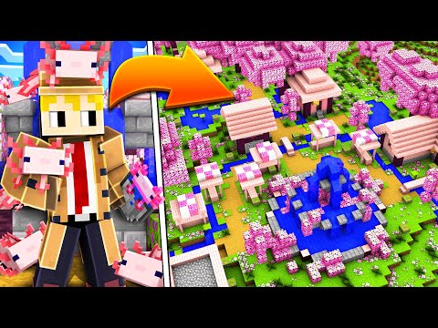 Ich habe ein neues KIRSCHBLÜTEN DORF erfunden!