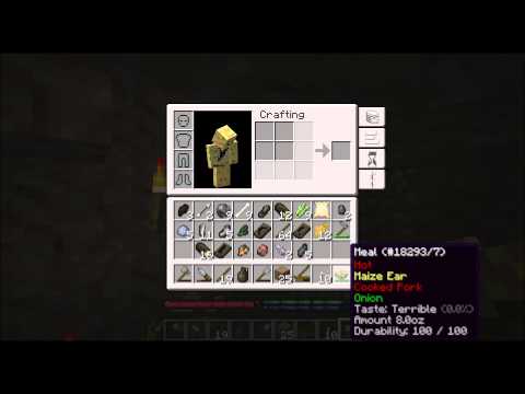 TerraFirmaCraft Episode 2 Makin a Meal
