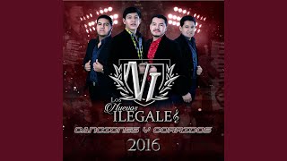 Nuevos Talentos Lyrics English Translation