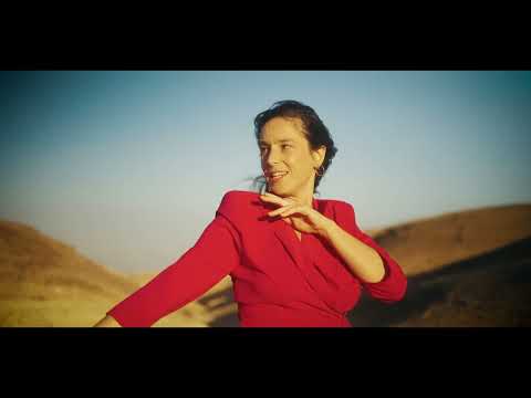 Liron Meyuhas / ציפורים - לירון מיוחס ( Birds)