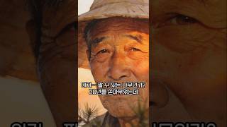 [나무人썰] 소나무만 20년 키웠는데... 팔 수가 없었습니다 #소나무 #취미 #판매