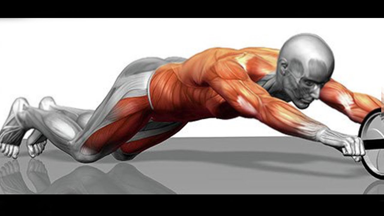 RUEDA ABDOMINAL: MEJOR EJERCICIO PARA ABDOMINALES [Técnica, activación, consejos...]