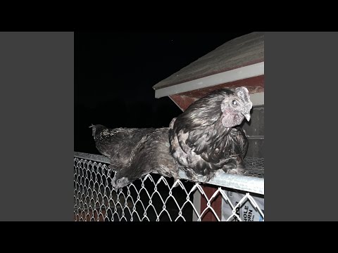 fuck it lets make a suicide pact (feat. im secretly a ghost & i wanna be mesmerizing to you)