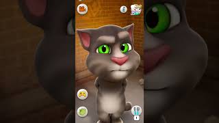 Talking Tom Cat #shorts