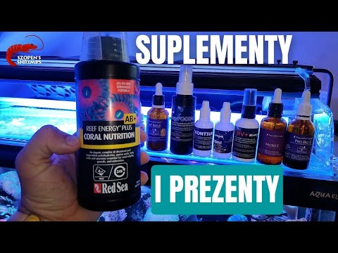 Suple w morskim - jak nie robić / Trzmiel i mega prezent / Akwarium Morskie od A do Z