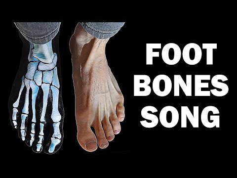 FOOT BONES SONG