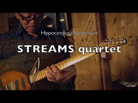 Hippocampus - Nguyên Lê Streams quartet