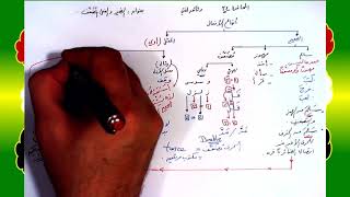 صورة 34 √ الضمير والفعل الـمُضَعَّف