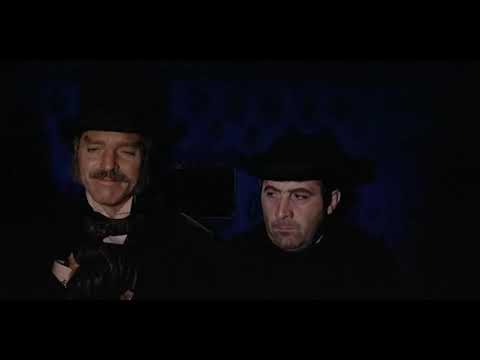 Le Guépard complet français