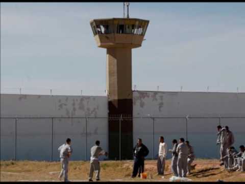 THE KINGSTON TRIO       THE TIJUANA JAIL