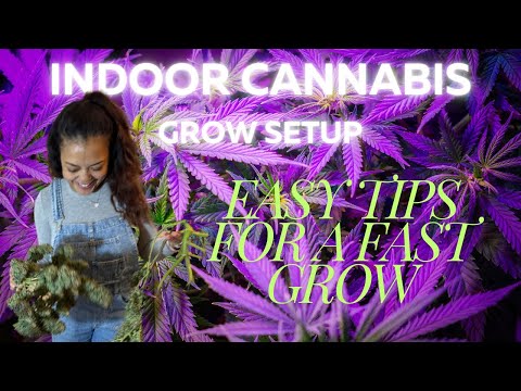Complete Grow Tent Setup for Beginners | What You Need to Start Growing Cannabis