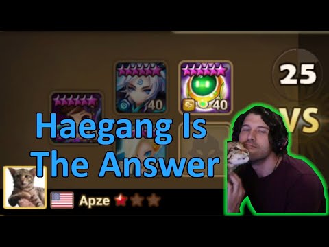 You Should Draft Haegang More (Summoners War RTA)