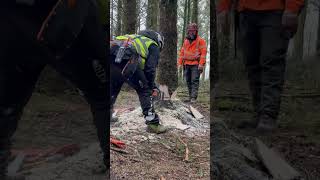 Cracking video = feedback, encouragement at all times....Danish Pie felling cut & hung up tree