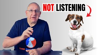 Why Your Stubborn Breed Doesn’t Listen (It’s Not What You Think)