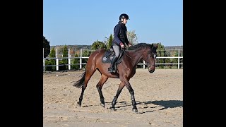 Video of Nixon Comila