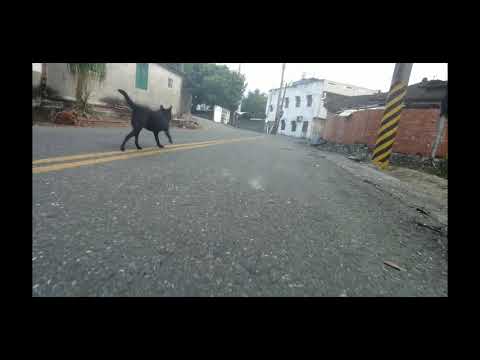 月光小夜曲2020.10.18