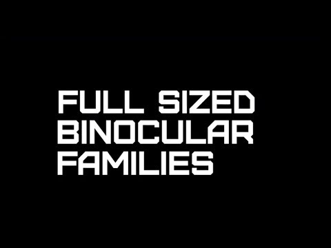 Žiūronai Nikon Prostaff 5 12x50 video