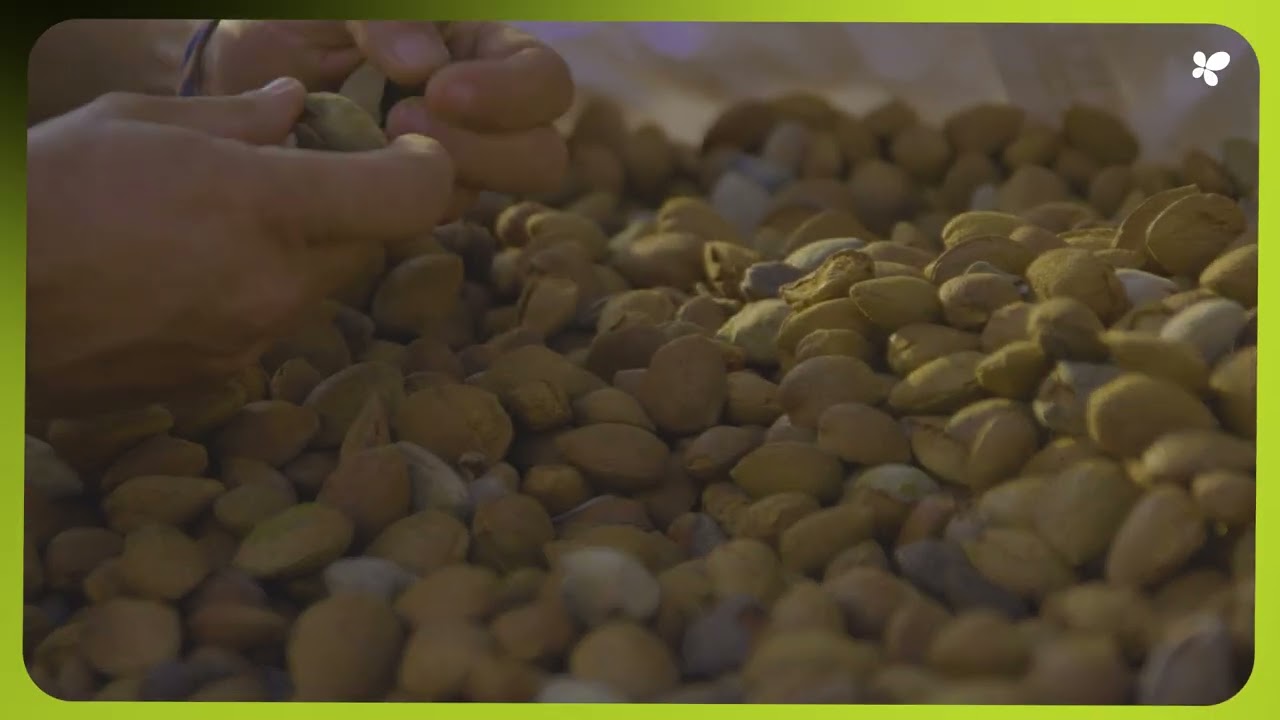 Support for New Organic Producers in the Balearic Islands Through Public Aid