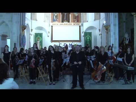 Into the Storm de Robert W.Smith