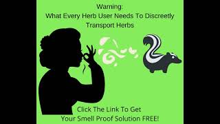 Free Herbal Storage Tube