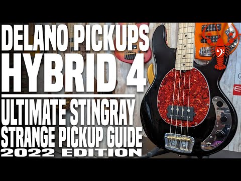 Delano Hybrid 4 - Ultimate Stingray Strange Pickup Guide 2022 Edition - LowEndLobster Builds