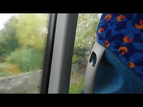 stagecoach bluebird 54272 YY65VXO service x67